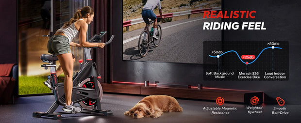 Exercise Bike, Magnetic Resistance, App, 300lbs Capacity