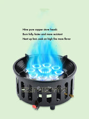 Outdoor Gas Stove with Electronic Ignition