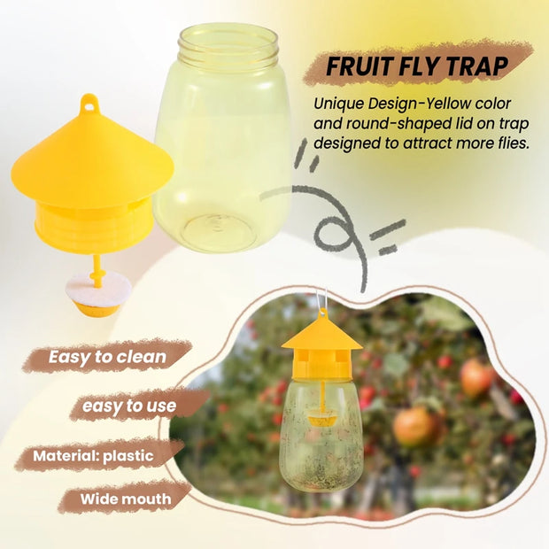 Reusable Fruit Fly Traps – Safe, Effective & Eco-Friendly