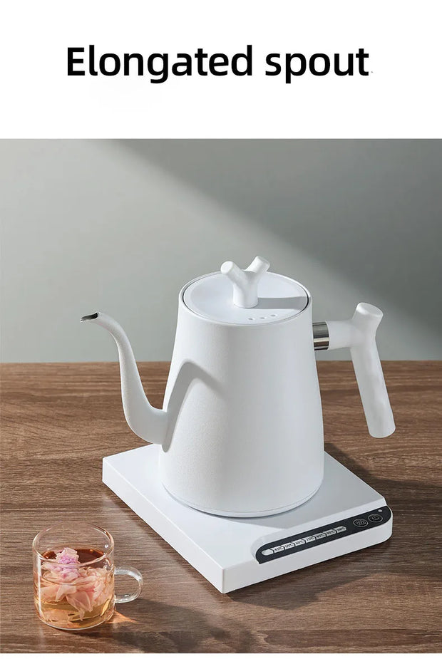 1000W Gooseneck Electric Kettle 1.0L Smart Teapot