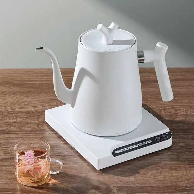 1000W Gooseneck Electric Kettle 1.0L Smart Teapot