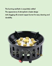 Outdoor Gas Stove with Electronic Ignition