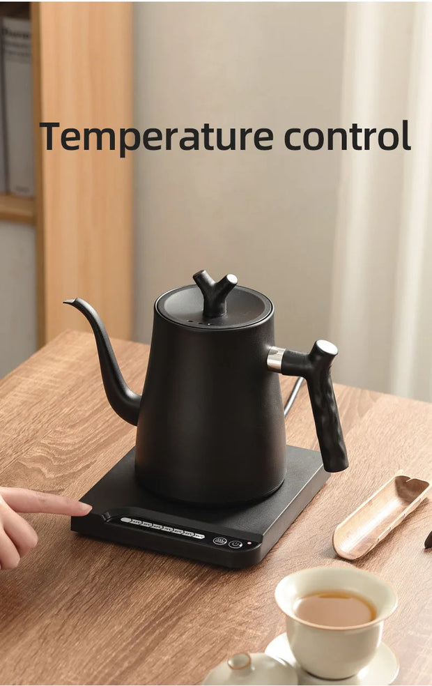 1000W Gooseneck Electric Kettle 1.0L Smart Teapot