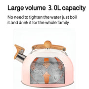 3L Pink Gradient Stainless Steel Whistling Tea Kettle