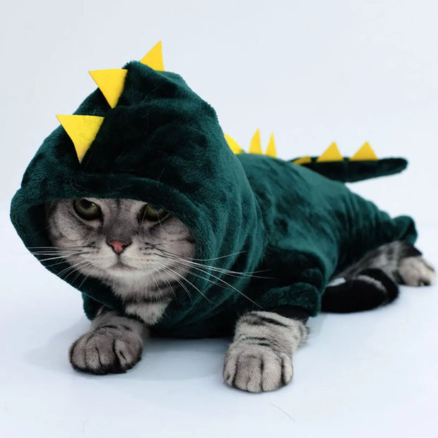 Cute Dinosaur Fleece Cat Hoodie