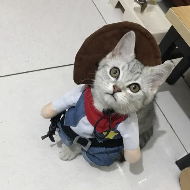 Funny Pet Cowboy Costume