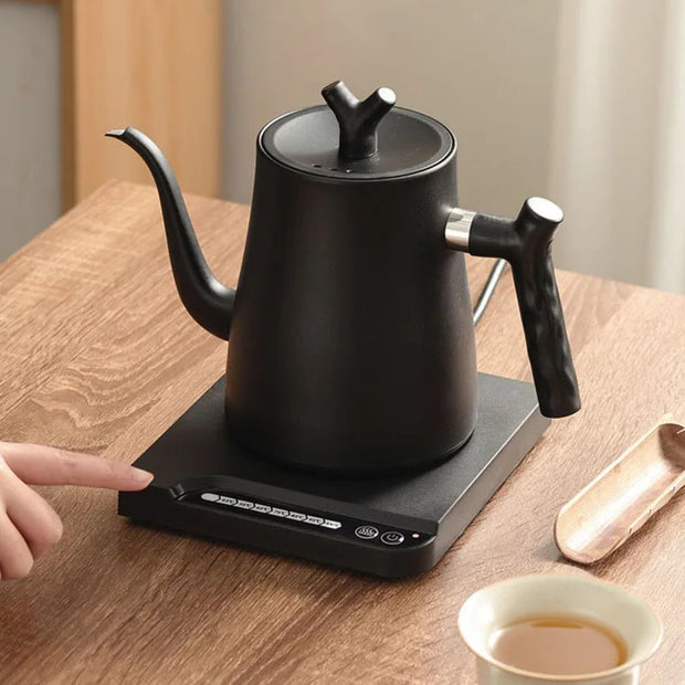 1000W Gooseneck Electric Kettle 1.0L Smart Teapot