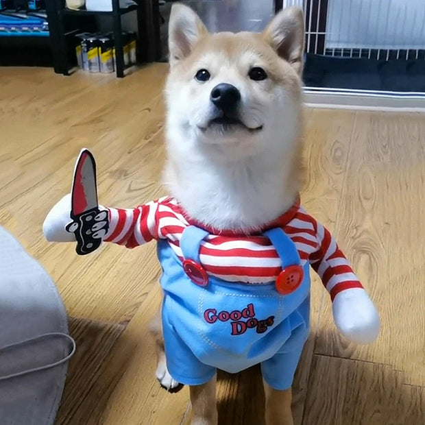 Funny Adjustable Halloween Costume for Pets