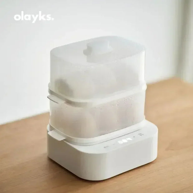 Multifunctional Mini Double Egg Boiler Cooker
