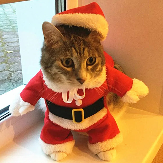 Christmas Cat & Dog Costume – Santa Outfit for Small Pets