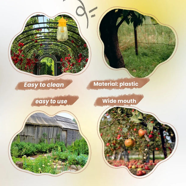 Reusable Fruit Fly Traps – Safe, Effective & Eco-Friendly
