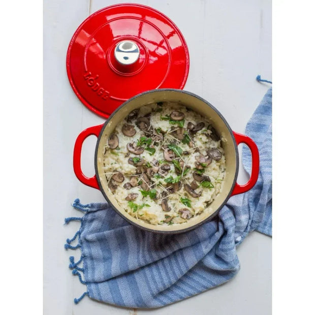 Lodge 5.5 Quart Enameled Cast Iron Dutch Oven