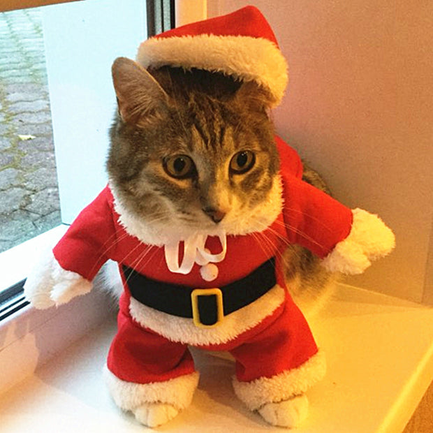 Christmas Cat & Dog Costume – Santa Outfit for Small Pets