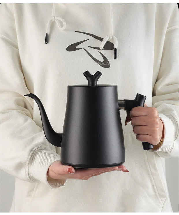 1000W Gooseneck Electric Kettle 1.0L Smart Teapot