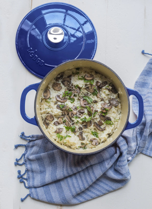 Lodge 5.5 Quart Enameled Cast Iron Dutch Oven
