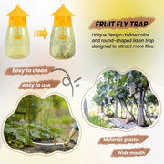 Reusable Fruit Fly Traps – Safe, Effective & Eco-Friendly