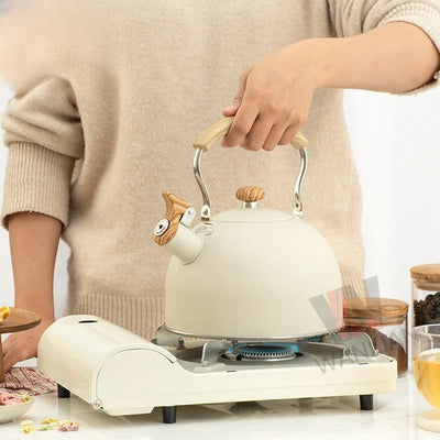 3L Pink Gradient Stainless Steel Whistling Tea Kettle
