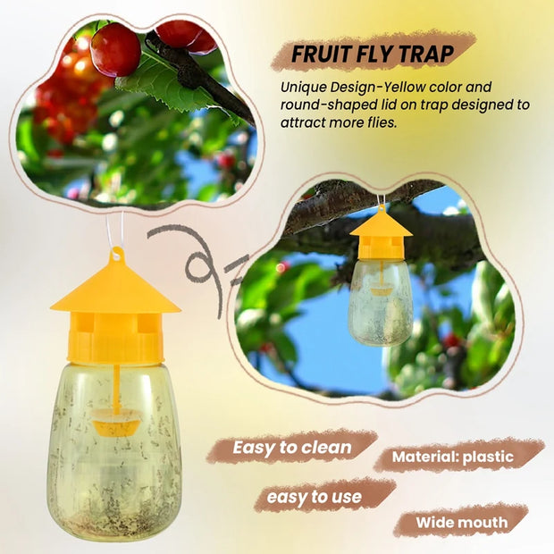 Reusable Fruit Fly Traps – Safe, Effective & Eco-Friendly