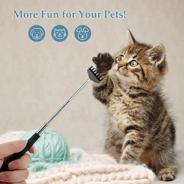Extendable Stainless Steel Telescopic Back Scratcher