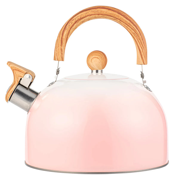 3L Pink Gradient Stainless Steel Whistling Tea Kettle