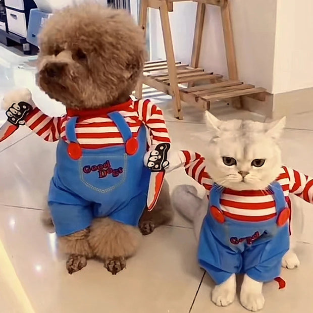 Funny Cat & Dog Halloween Costume