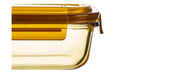Glass Lunch Box