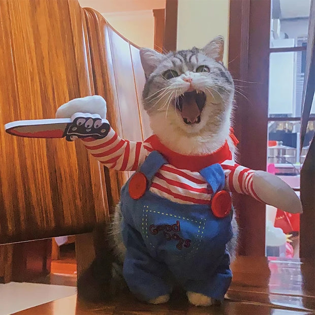 Funny Cat & Dog Halloween Costume