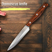 67-Layer Damascus Steel Paring Knife – VG10 Core, Premium Fruit Knife