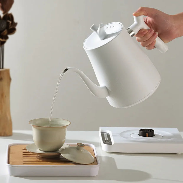 1000W Gooseneck Electric Kettle 1.0L Smart Teapot