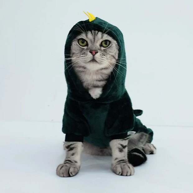 Cute Dinosaur Fleece Cat Hoodie