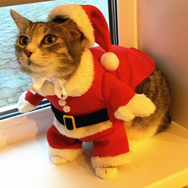 Christmas Cat & Dog Costume – Santa Outfit for Small Pets